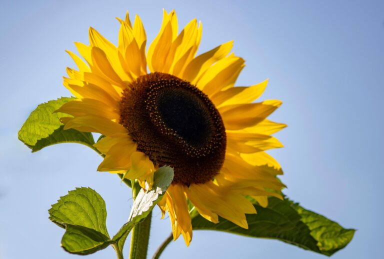 Reiki 1 training Warrington, Cheshire