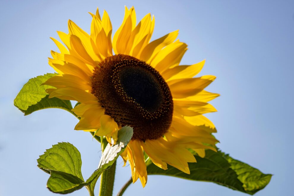 Reiki 1 training Warrington, Cheshire