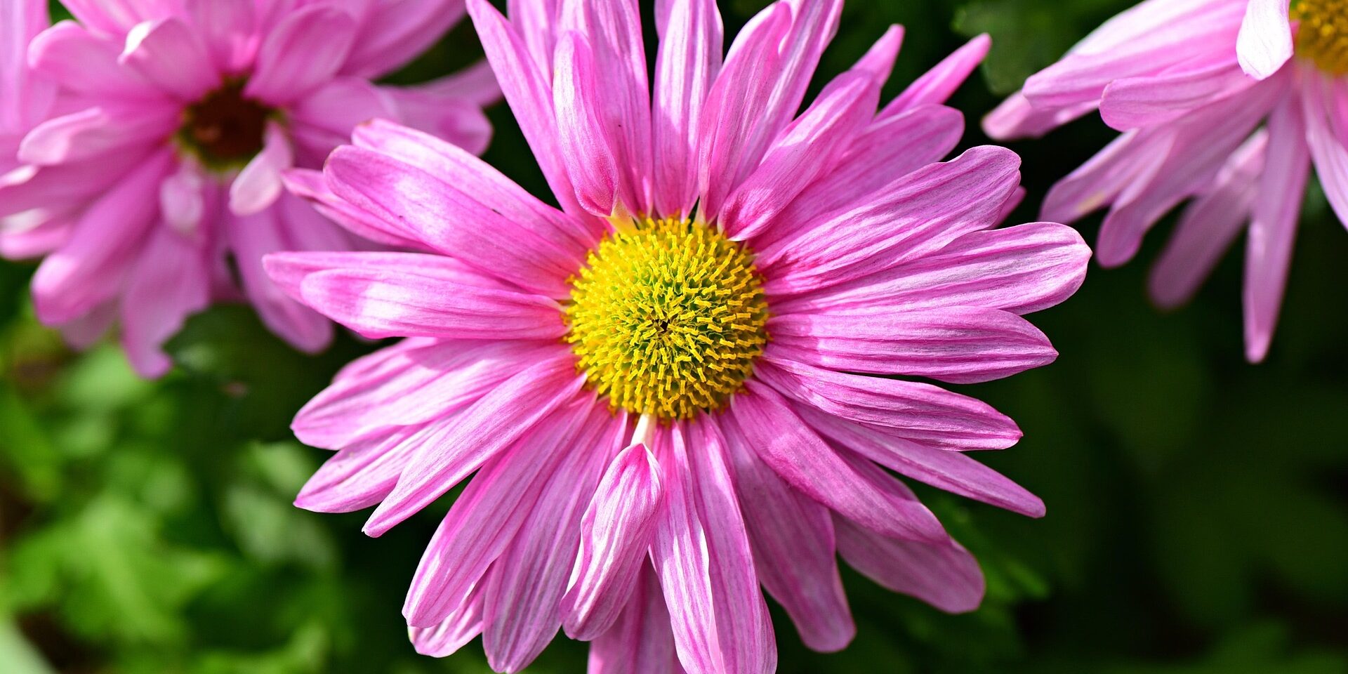 Reiki 2 Warrington, Cheshire