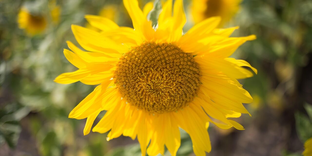 Reiki 1 Warrington Cheshire