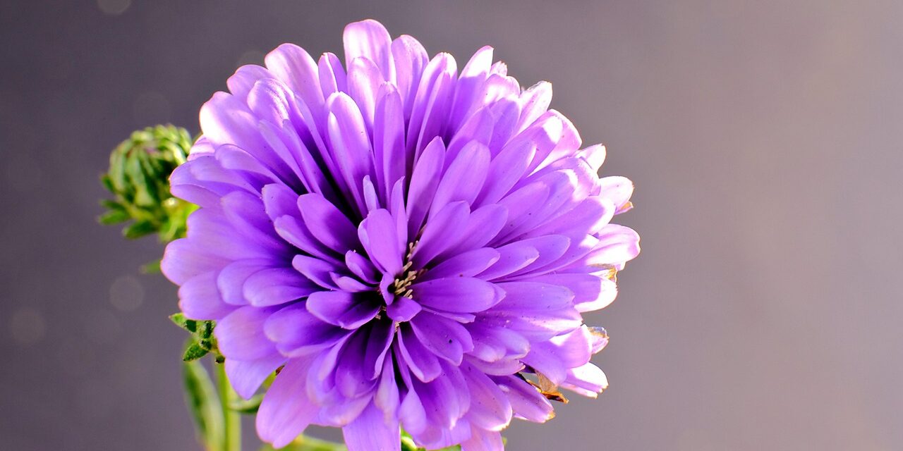 Reiki 1 course Warrington