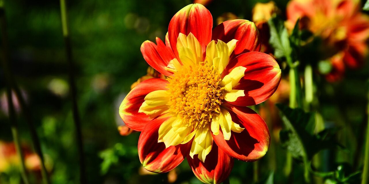 Reiki 2 training course Cheshire