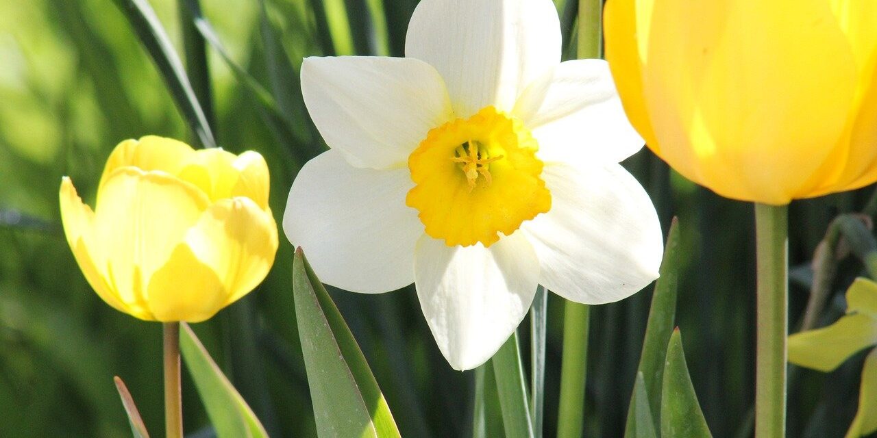 Reiki 2 training Warrington