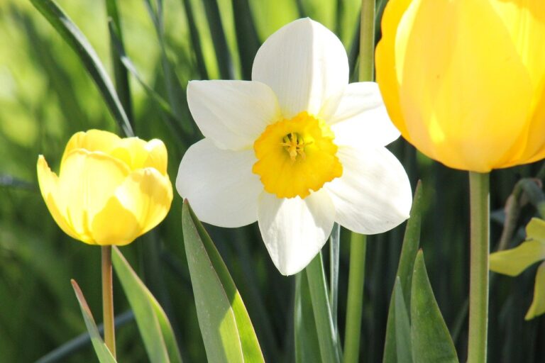 Reiki 2 training Warrington