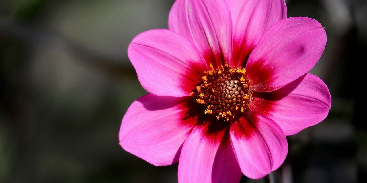 Reiki 1 Warrington Cheshire