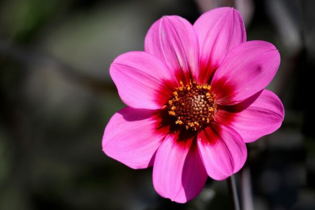 Reiki 1 Warrington Cheshire