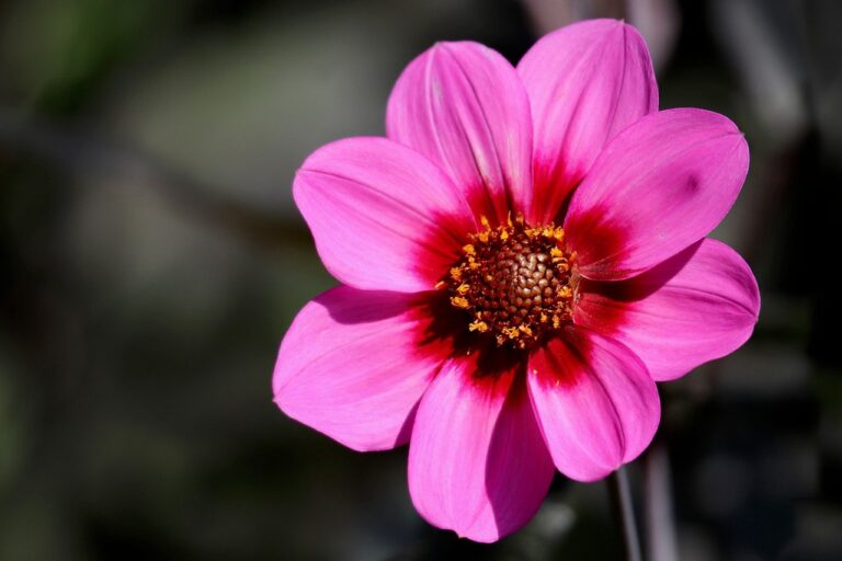 Reiki 1 Warrington Cheshire