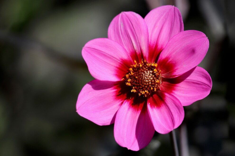 Reiki 1 Warrington Cheshire