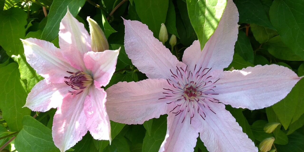 reiki master training