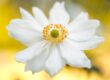 Reiki 2 Culcheth Warrington