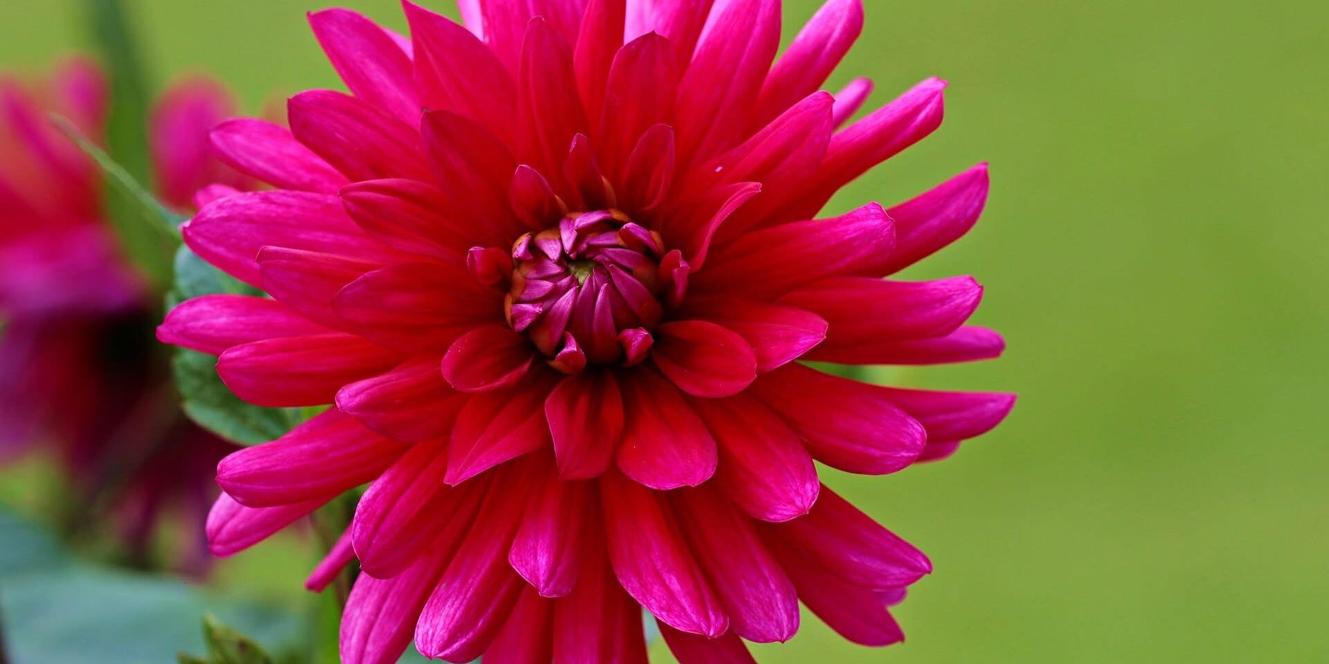 reiki master teacher training Reiki Master Teacher