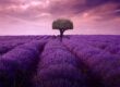 Reiki 2 Warrington