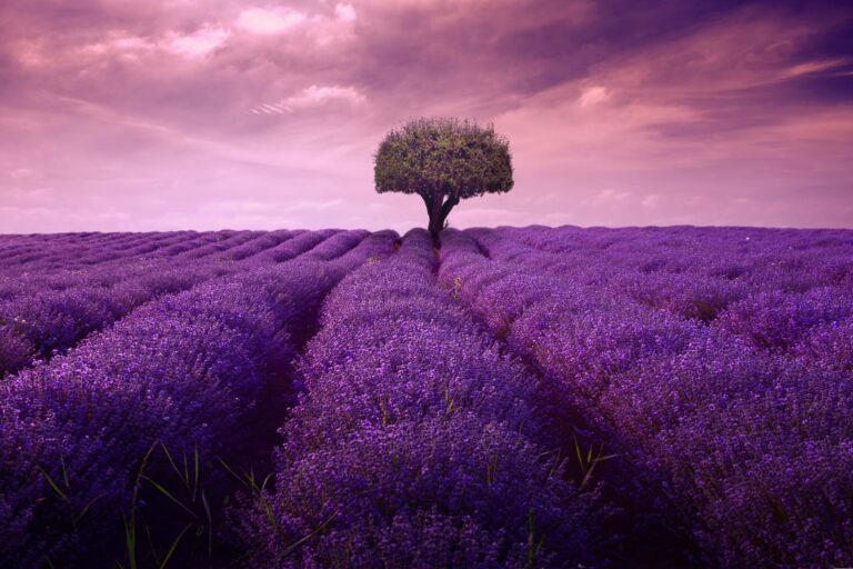 Reiki 2 Warrington