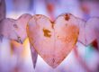 become a reiki therapist