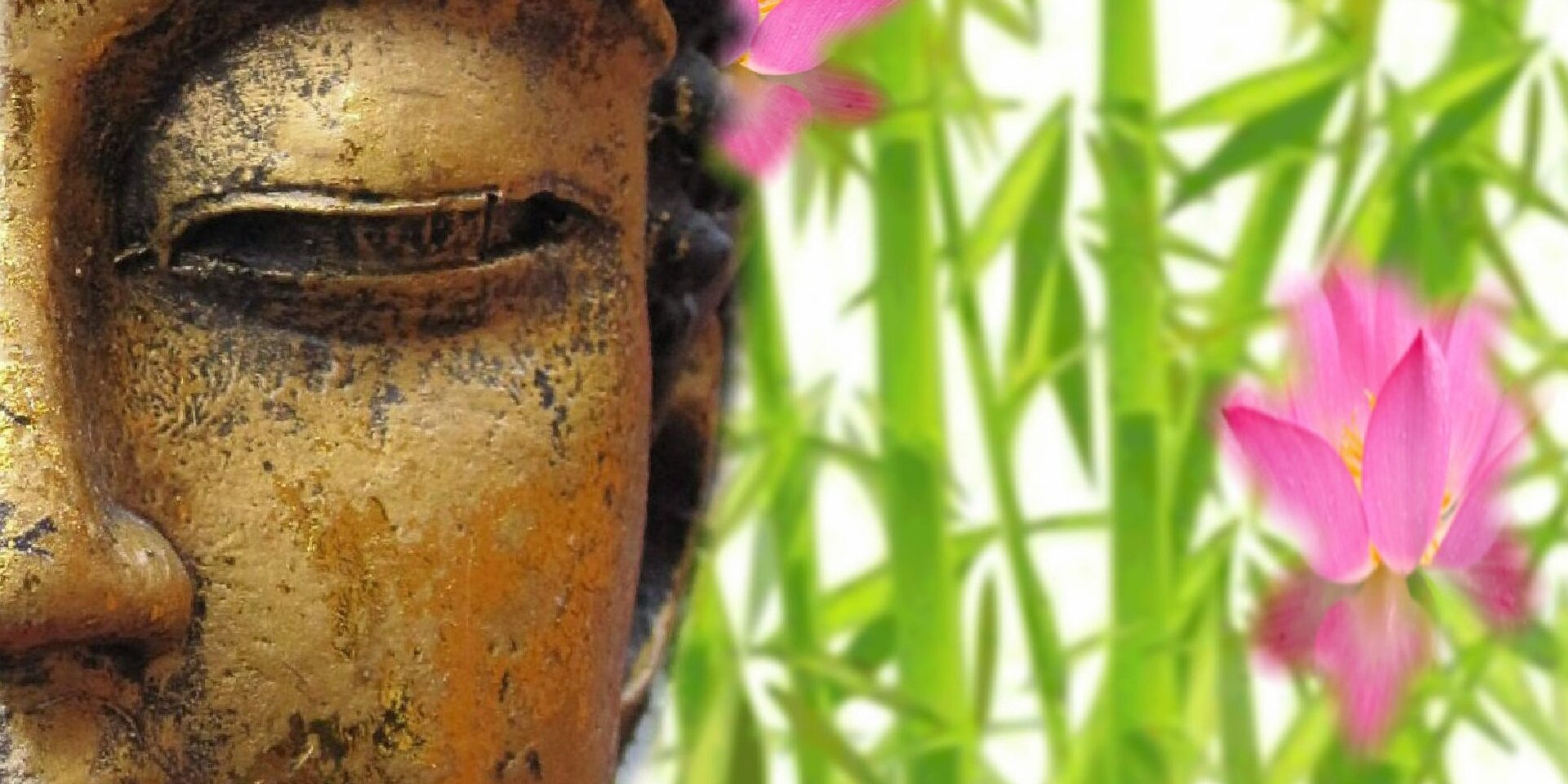 reiki energy connecting to Reiki energy
