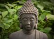 Reiki Master training